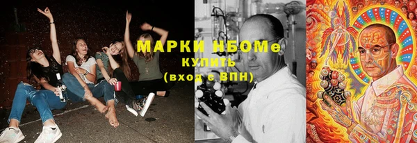 твердый Горнозаводск