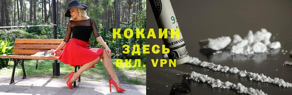 твердый Горнозаводск