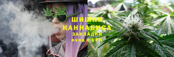 спайс Горняк